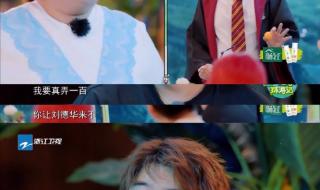 吴彤帮贾玲请刘德华