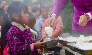 生活在海里真正的鱼