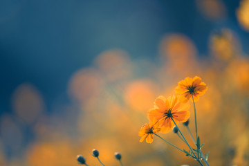 向太打破谣言_李连杰并未去世 向太辟谣李连杰去世